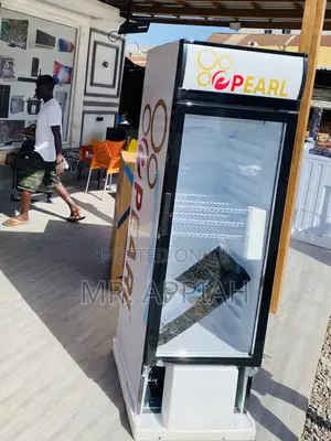 Latest and Affordable PearlPvc-316-2b 1 Door Display Frigde