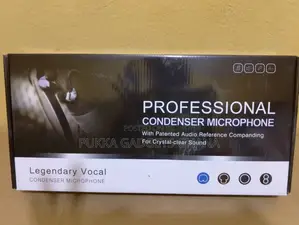 BM 800 With V8 Sound Card