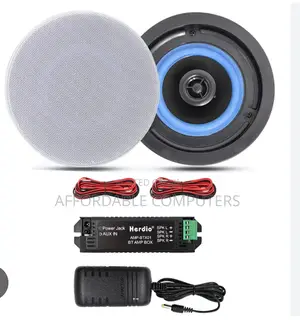 Ceiling Speaker