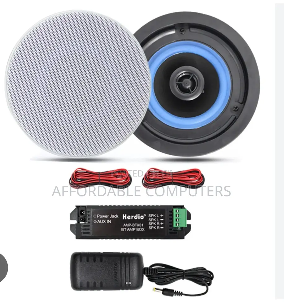 Ceiling Speaker
