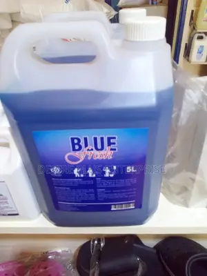 Wc and Washroom Cleaner