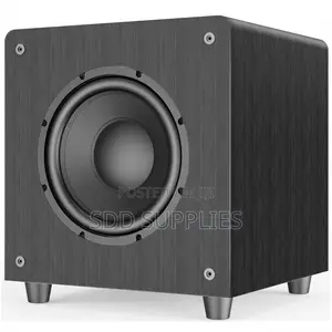 Lucky Tone 10 Inch Passive Subwoofer 300 Watts Peak Power