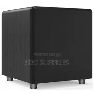 Lucky Tone 10 Inch Passive Subwoofer 300 Watts Peak Power
