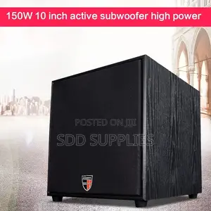 Lucky Tone 10 Inch Passive Subwoofer 300 Watts Peak Power