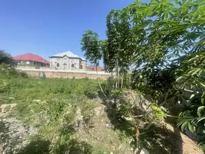 One Half Plot of Titled Plot for Land 4 Sale at Tse Ado