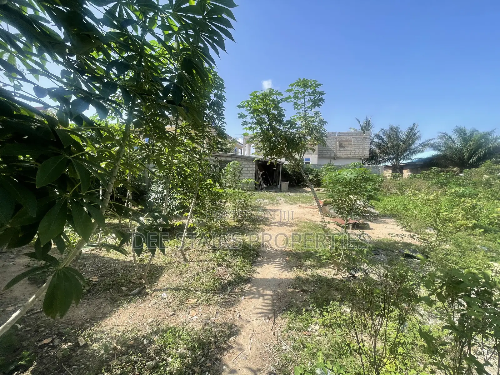 One Half Plot of Titled Plot for Land 4 Sale at Tse Ado