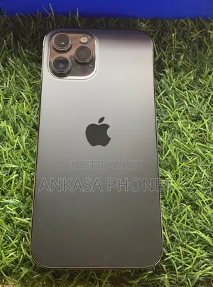 Apple iPhone 12 Pro Max 128 GB Gray