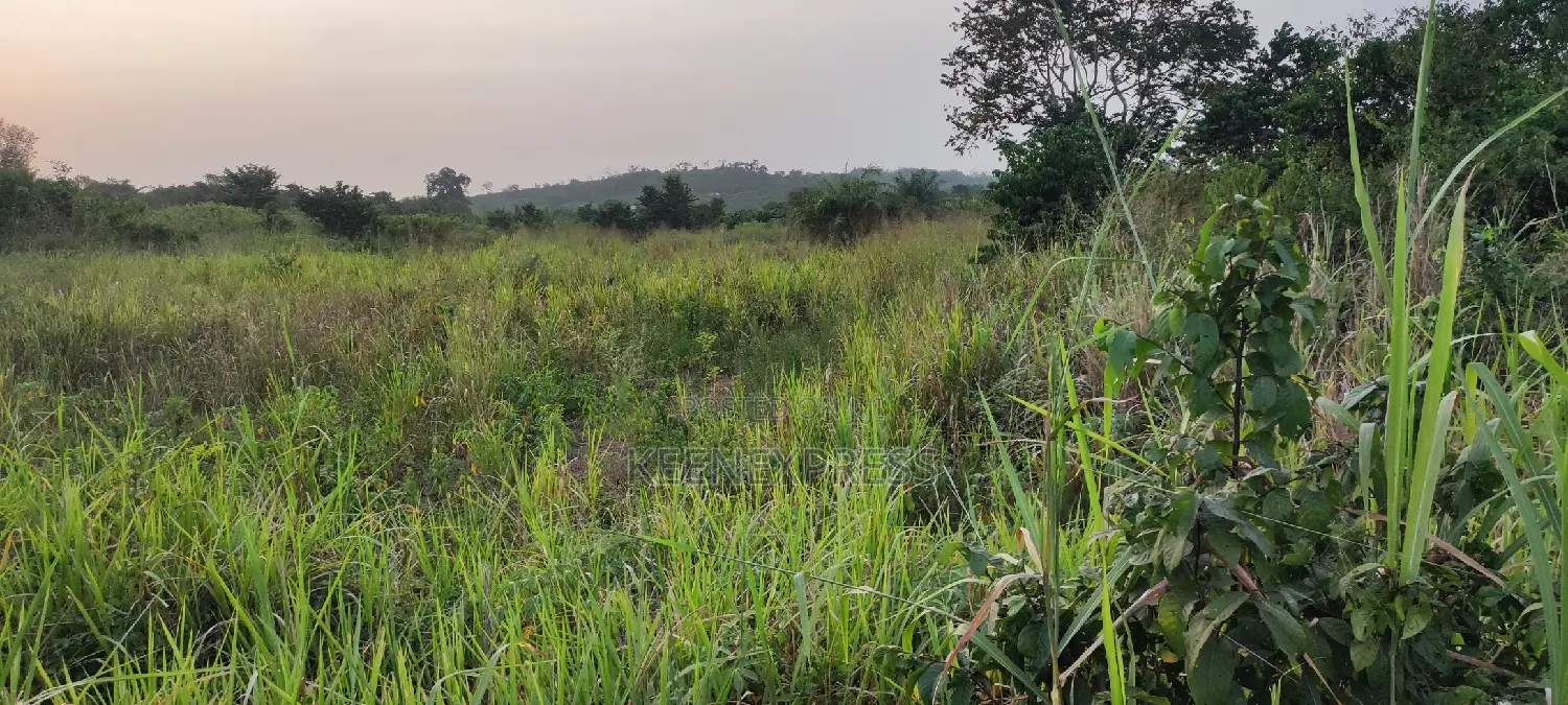 Land at Mankessim for Sale