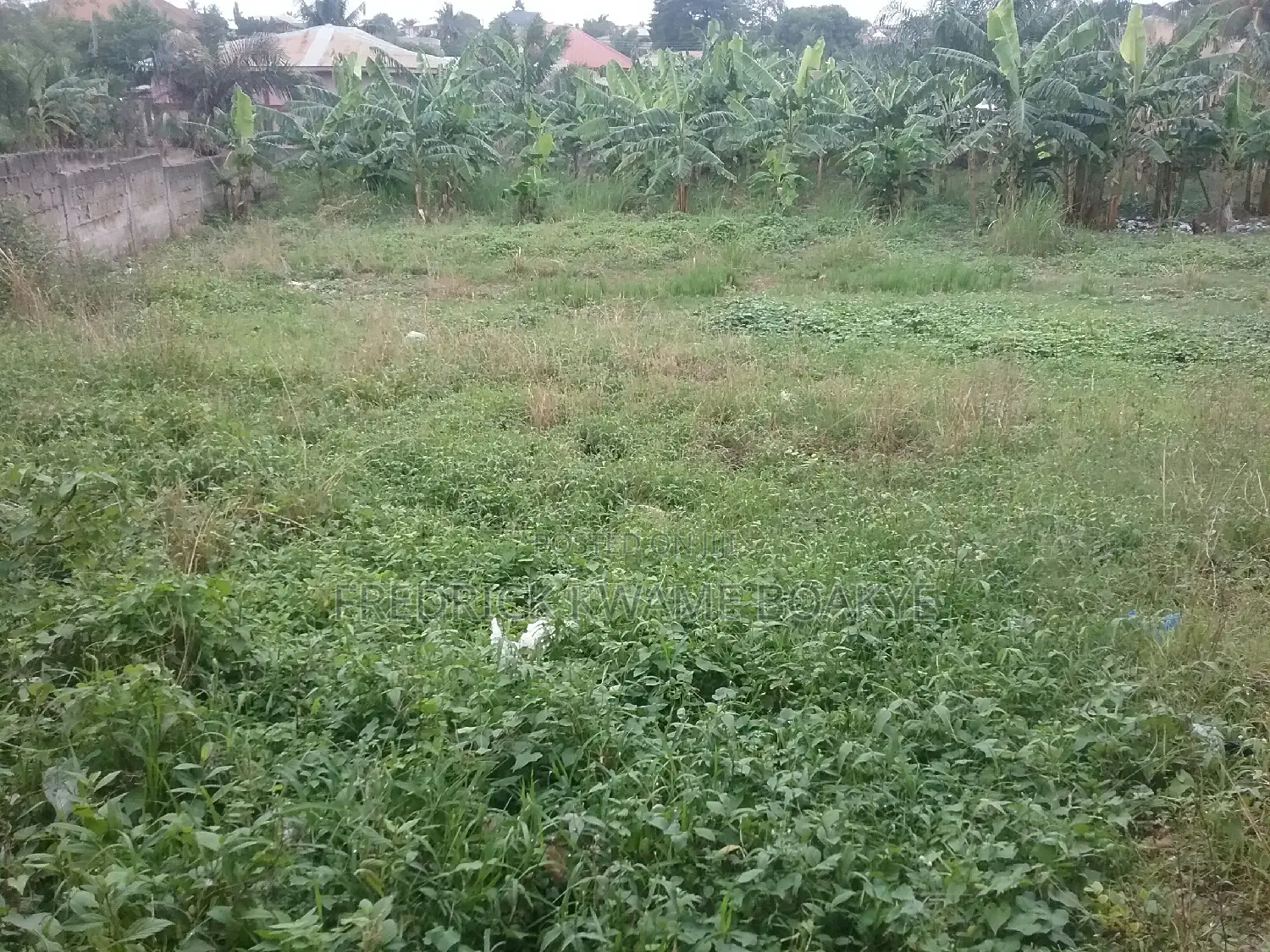 School for Sale at Buokrom F Line