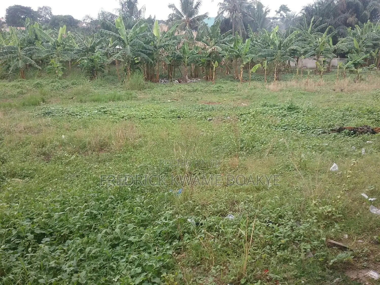 School for Sale at Buokrom F Line