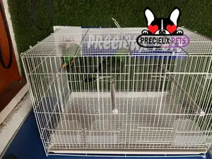 White Jardine Cage for Parrots