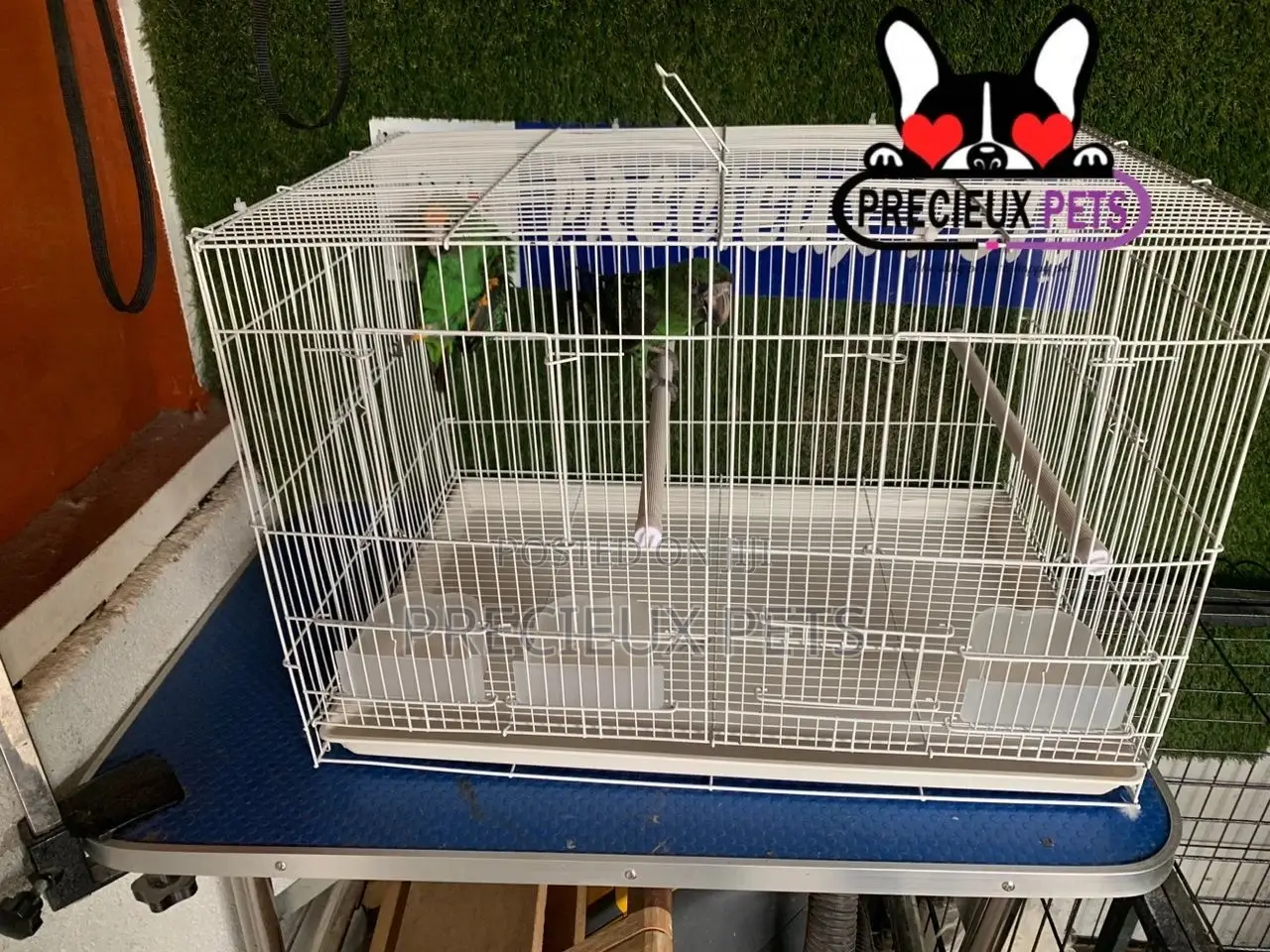 White Jardine Cage for Parrots