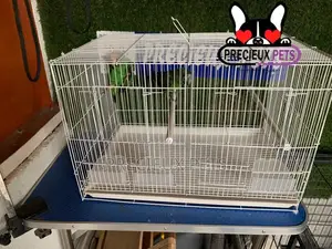 White Jardine Cage for Parrots