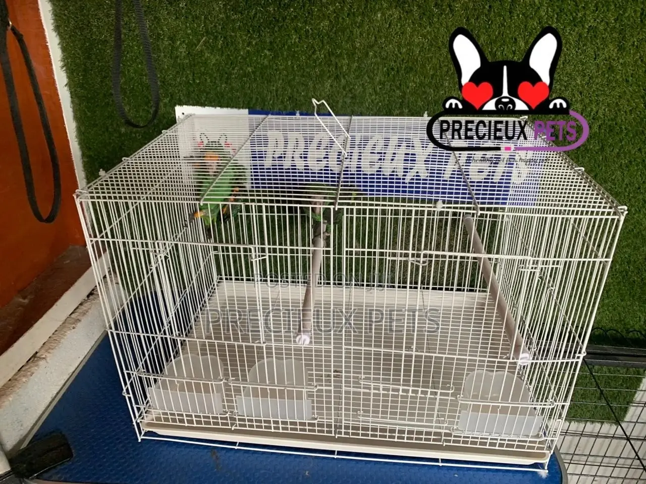 White Jardine Cage for Parrots