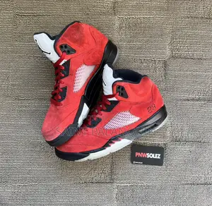 Air Jordan 5