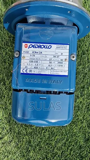 1.5 Hp Pedrollo Water Pump