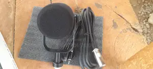 FDUCE Podcast and Studio Microphone
