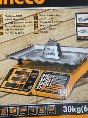 Electronic Scale