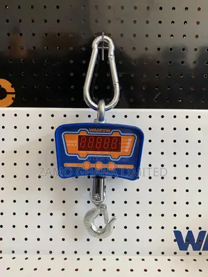 Crane Scale 500kg - Wec1552