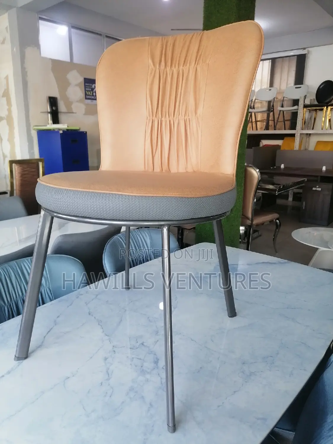 Fashion Dining Chair