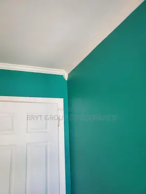 Your Professional Painters