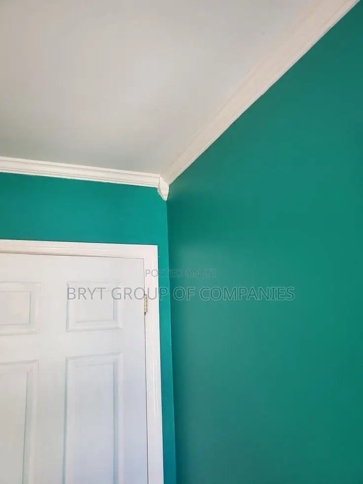 Your Professional Painters