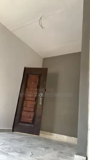 Your Professional Painters
