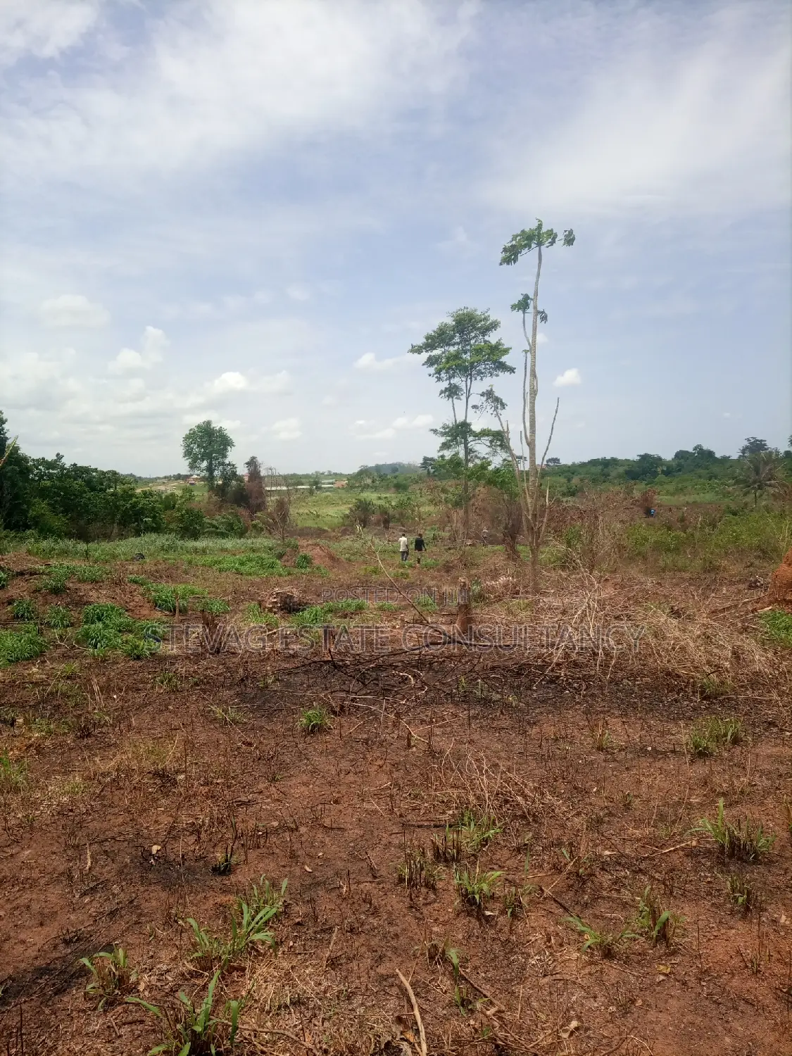 Alpha Estate Land for Sale at Kasoa Buduatta