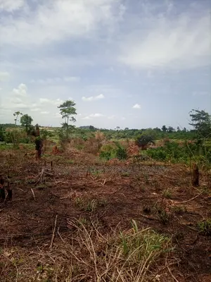 Alpha Estate Land for Sale at Kasoa Buduatta