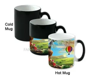 Customised Magic Mug