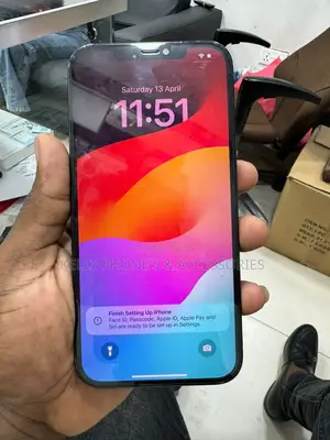 Apple iPhone 11 Pro Max 256 GB Black
