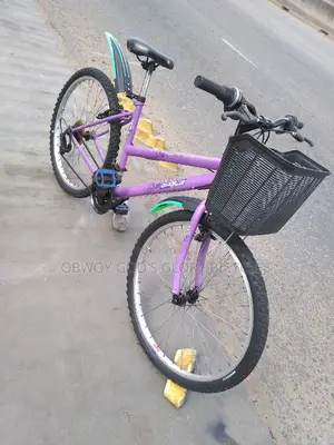 Ladies Basket Nice Bike