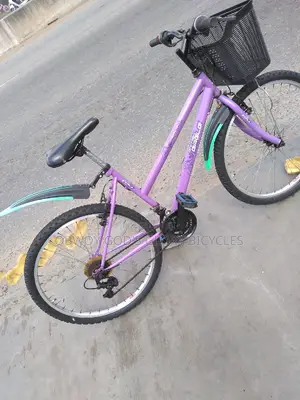 Ladies Basket Nice Bike