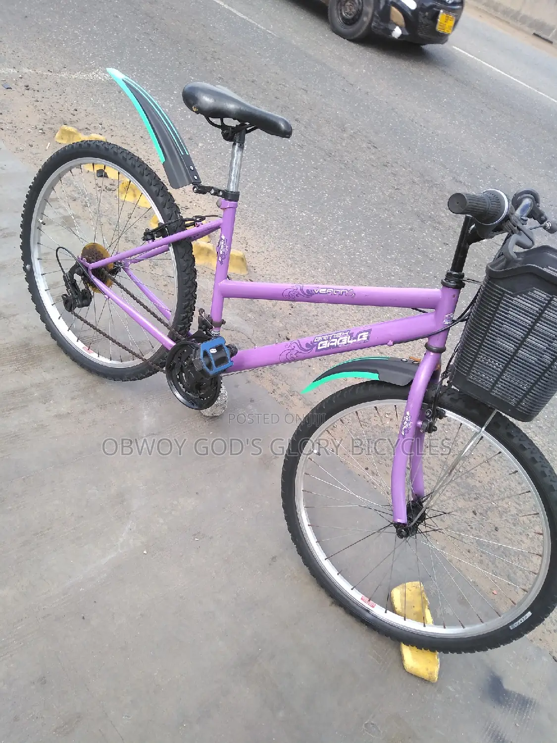 Ladies Basket Nice Bike