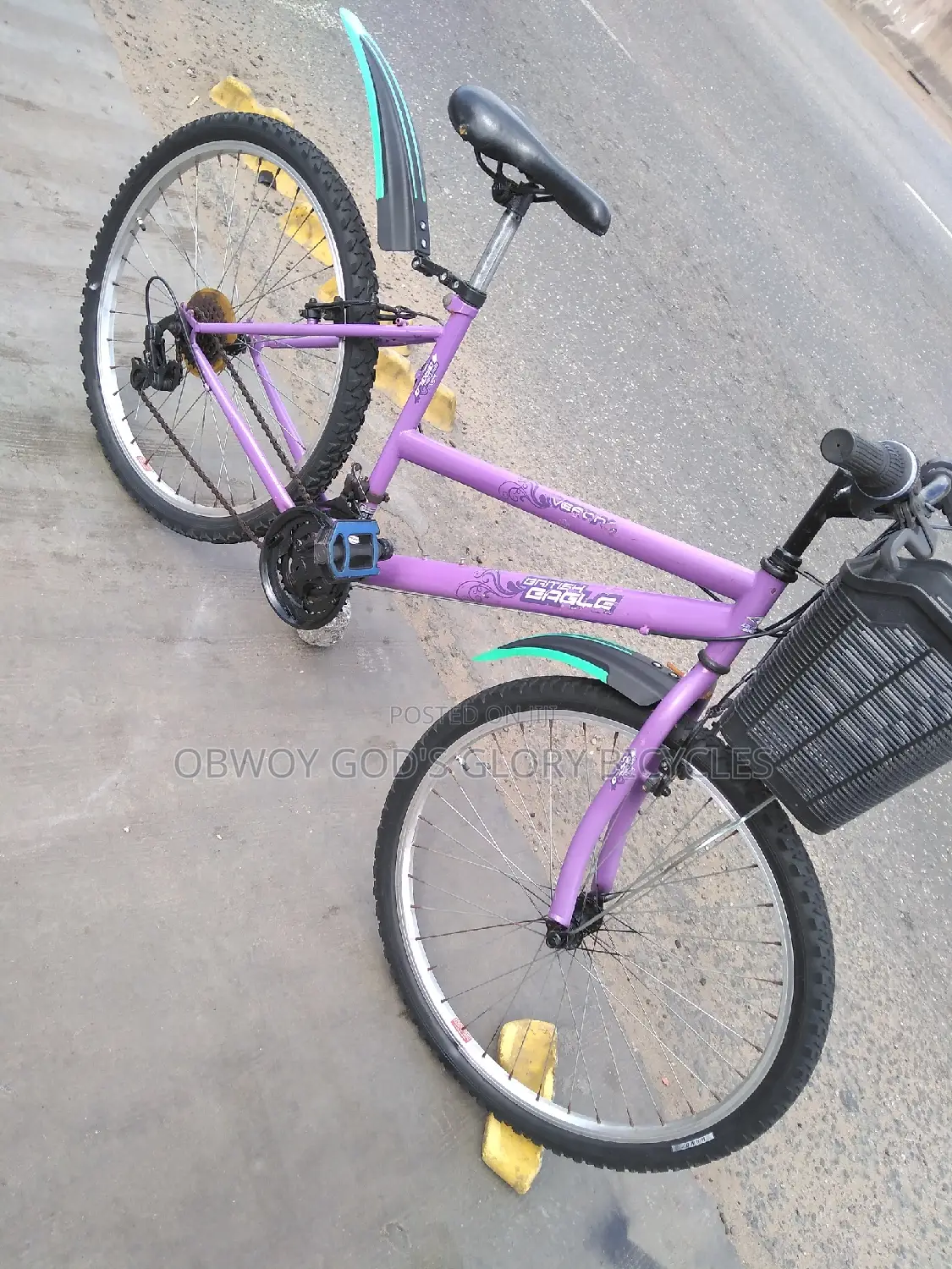 Ladies Basket Nice Bike