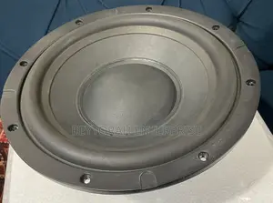 Bose Acoustimass 300 Bass Module 700 Speaker
