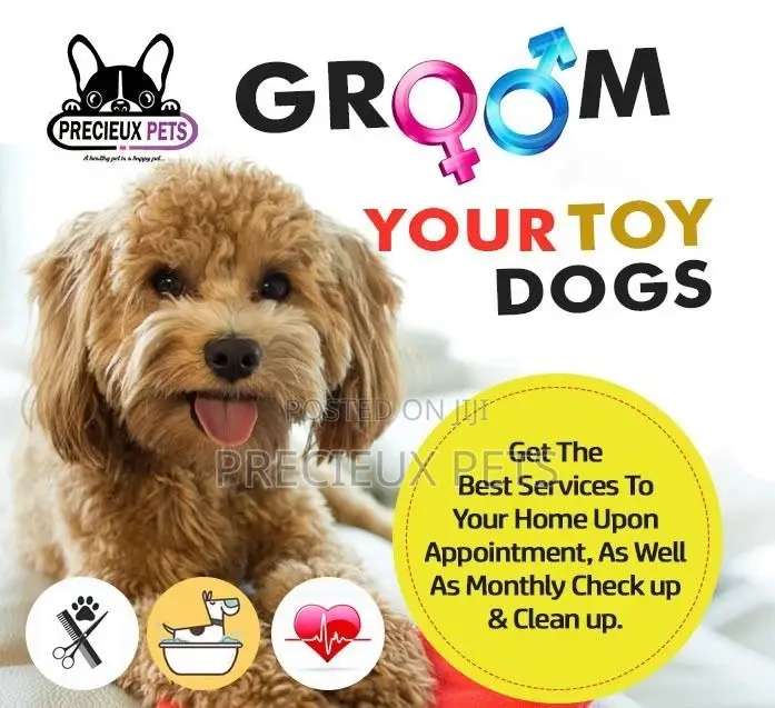 Precieux Pets Grooming Service 001