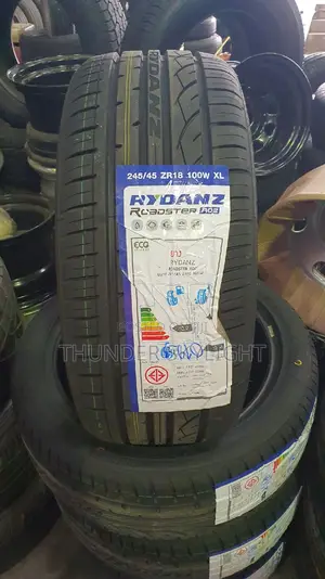 245/45r18 Tire All Season RYDANZ