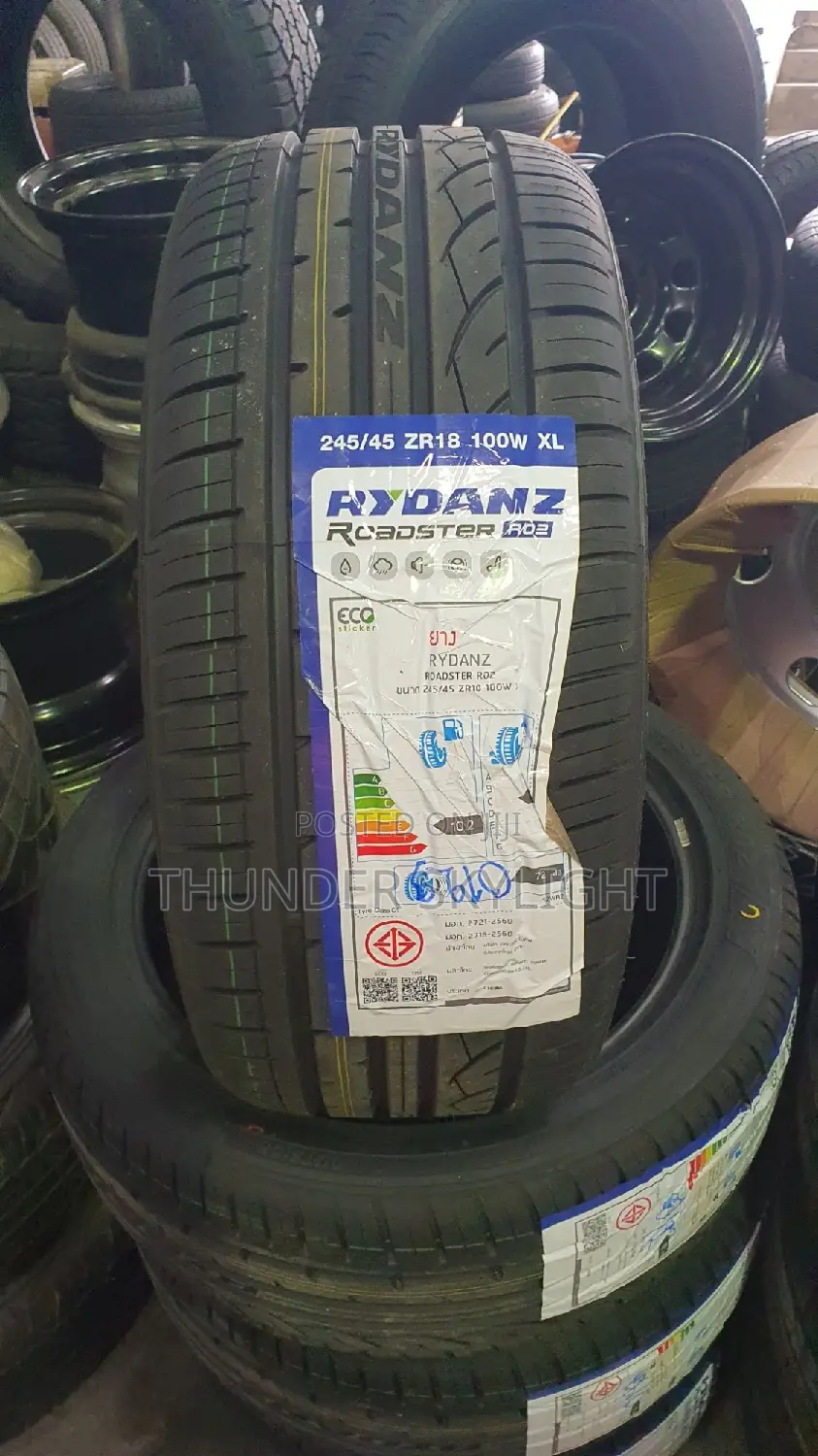 245/45r18 Tire All Season RYDANZ