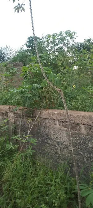 Two Plots of Residential Property for Sale