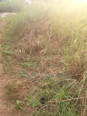 Two Plots for Sale at Aprepo Kokoso