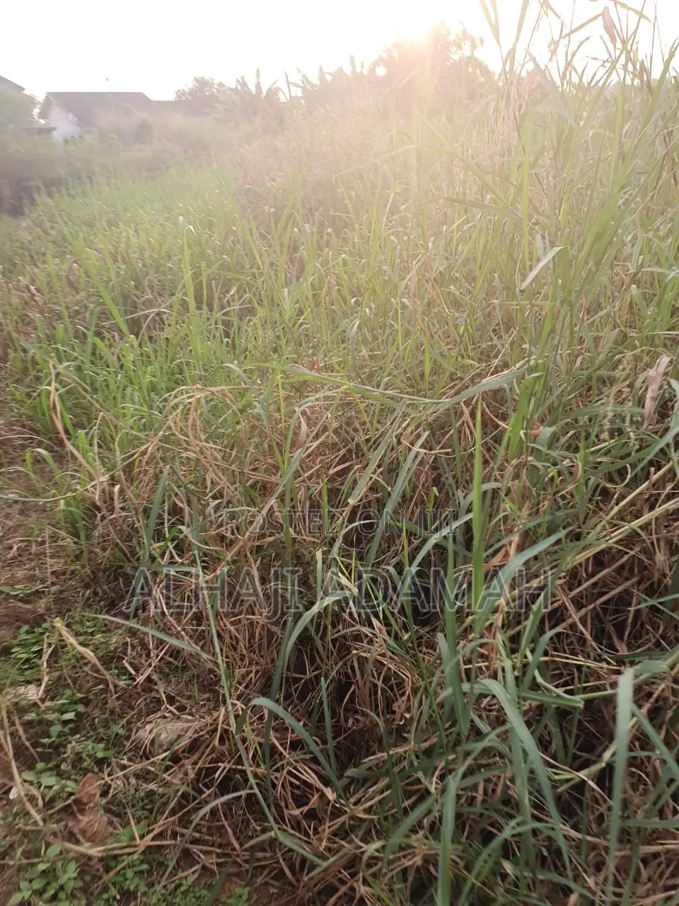 Two Plots for Sale at Aprepo Kokoso