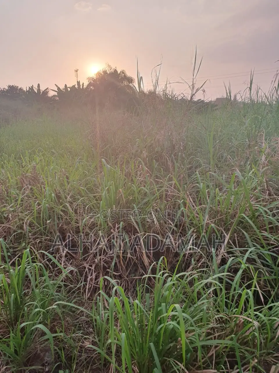 Two Plots for Sale at Aprepo Kokoso