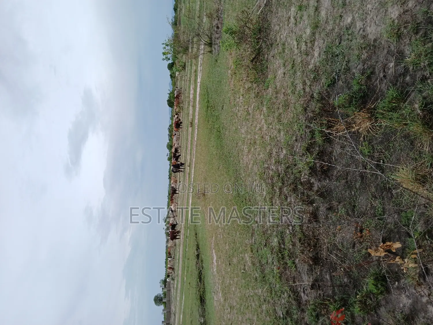 Properly Layout Land Up for Sale.Kindly Visit Us Now.