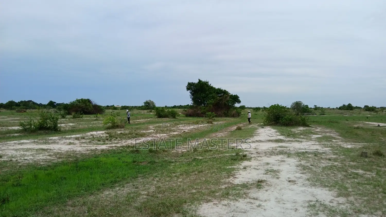 High Demands on Serviced Estate Land.