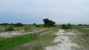 High Demands on Serviced Estate Land.