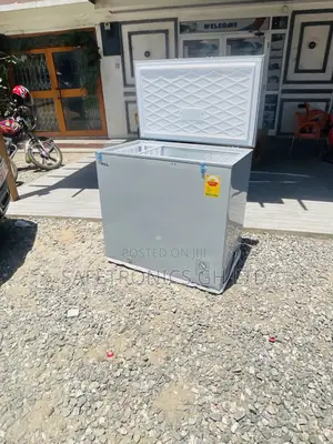 Gray Singledoor Lasting Electric TCL 208 Chestfreezer