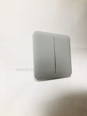 Ajax Solo Button (2-Gang Grey)