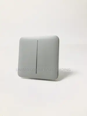 Ajax Solo Button (2-Gang Grey)