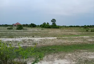 Beautiful Kept Land With Certificate Up